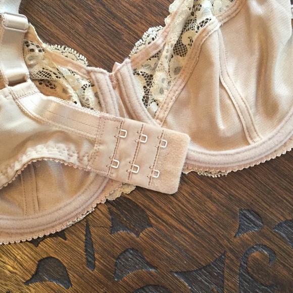 7710 Balcony Bra - Picture 3 of 4